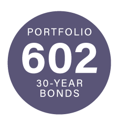 Portfolio 602 30 Year Bonds icon