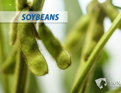 Soybeans Earthquake Alert