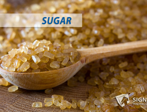 Sugar Sweet Opportunity